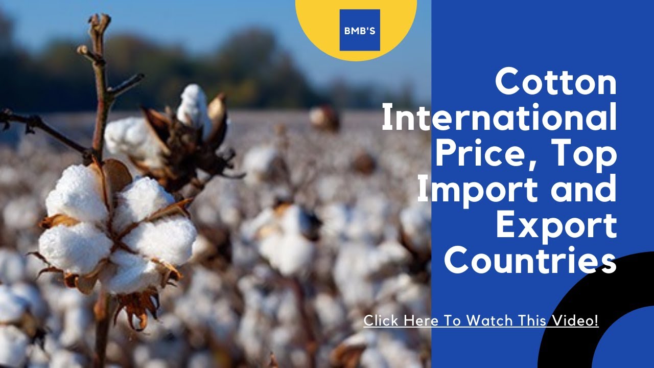 Top Cotton Importing Countries 2022