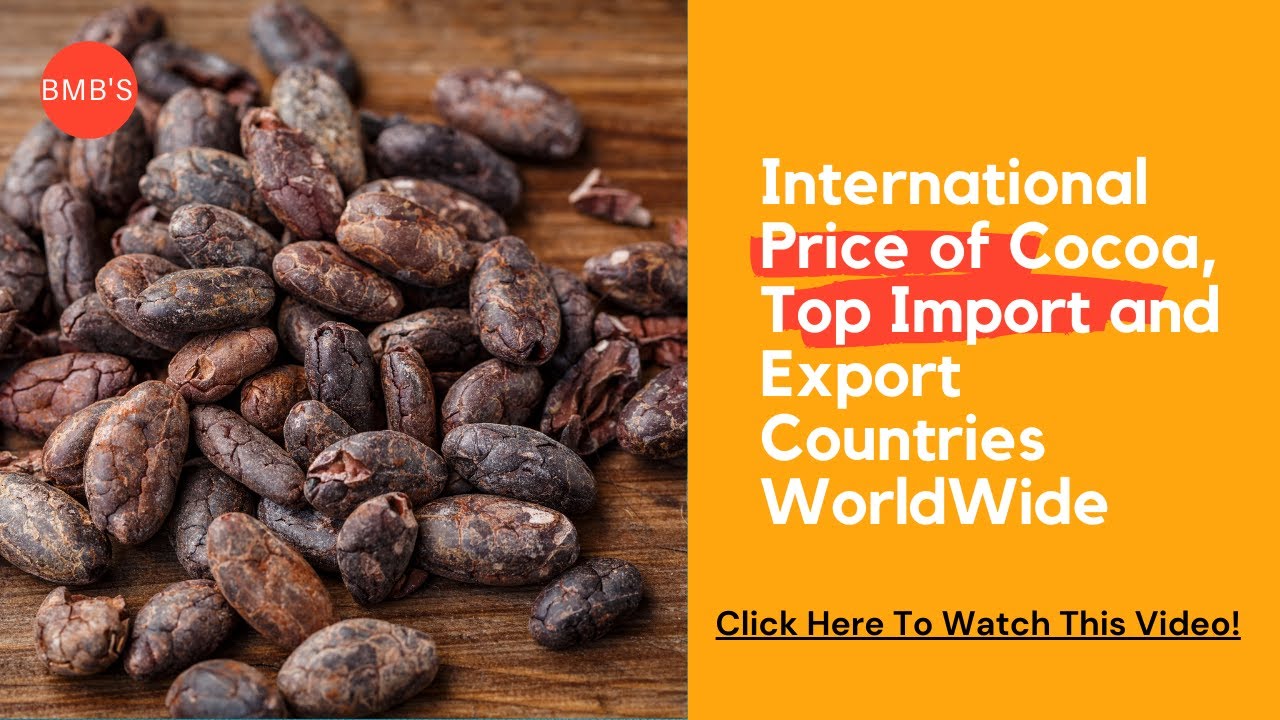 Top Cocoa Exporting Countries 2022