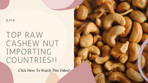 Top 10 Cashew Nut Top Importing Countries