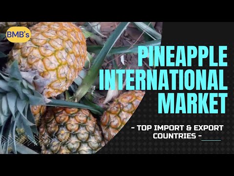 World's Top Pineapple Importing And Exporting Countries