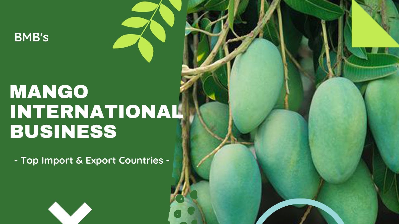 Top Mango Importing And Exporting Countries