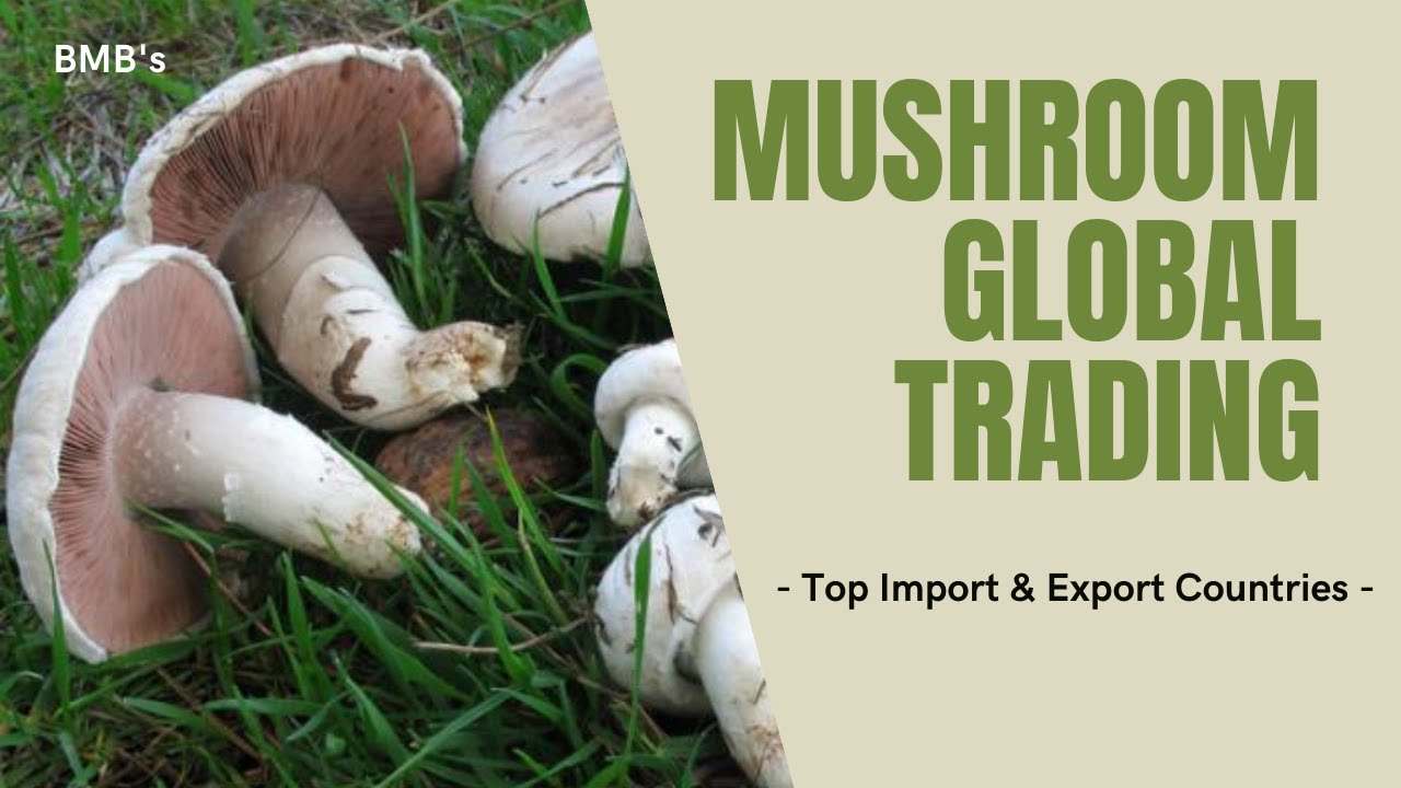 Top Mushroom Importing And Exporting Countries