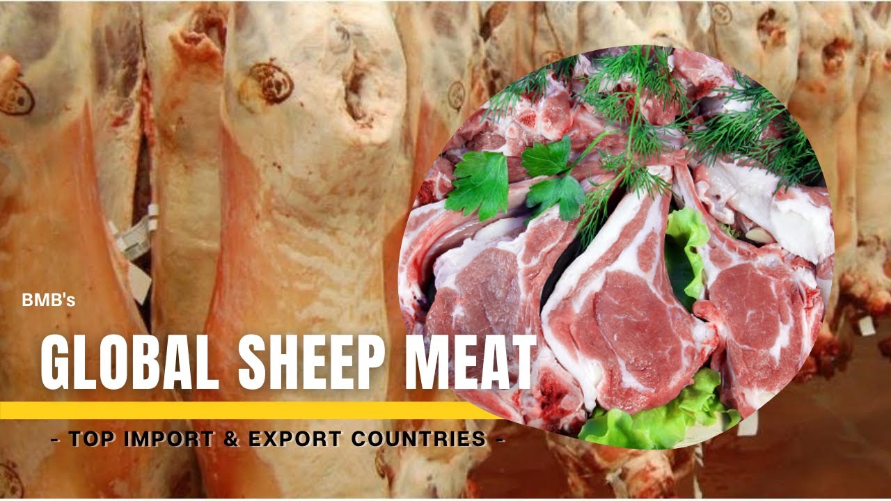 World's Top Importers And Exporters Of Sheep Meat