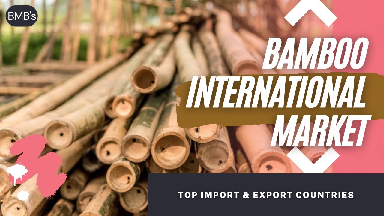 Bamboo Top Import And Export Countries And Current International Market Price