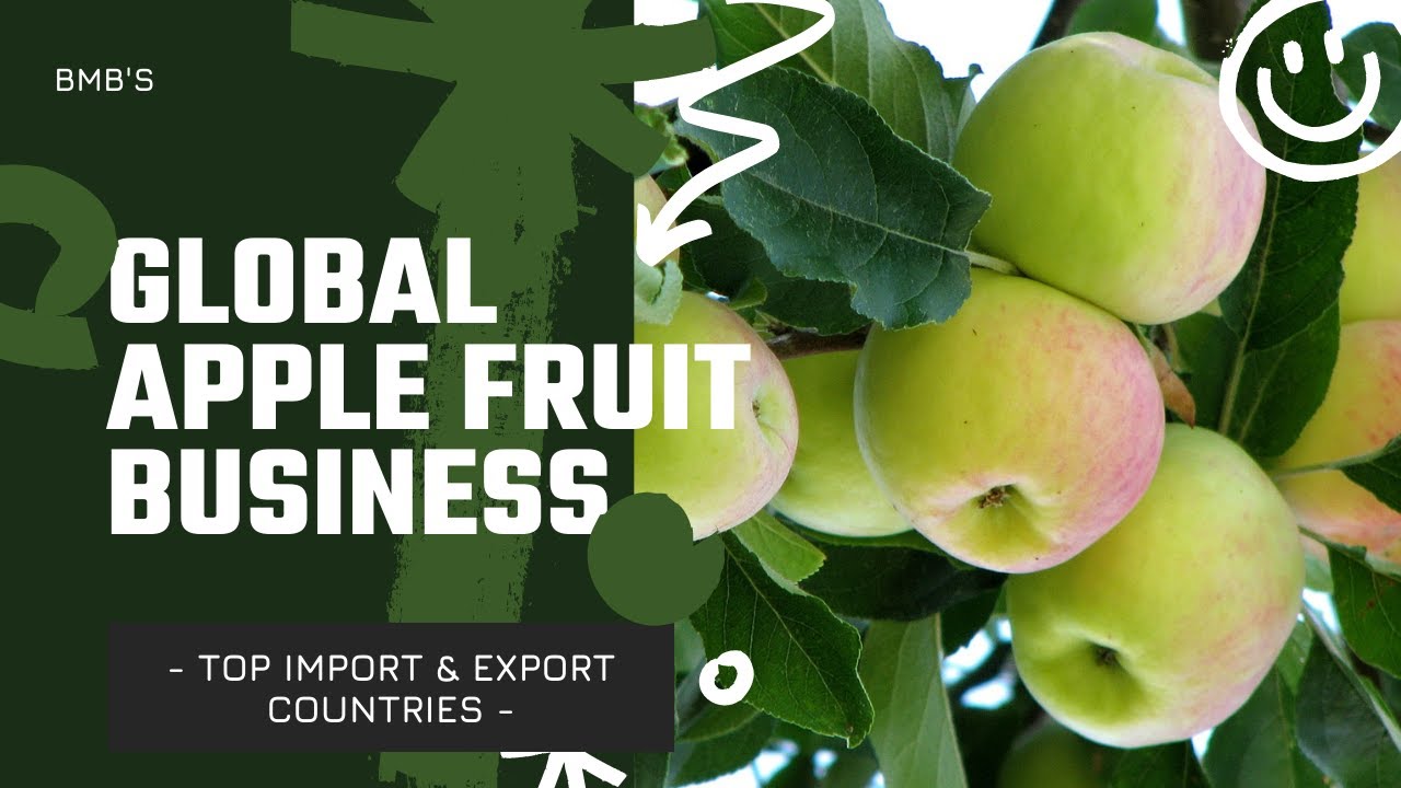 Apple Fruit Top Import and Export Countries 2022