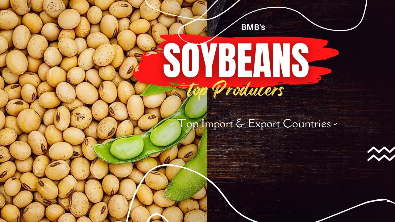 Top Soybeans Importing And Exporting Countries