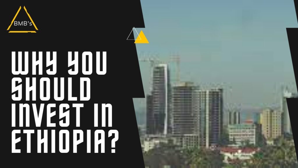 foreign-investment-opportunities-in-ethopia-bigmanbusiness