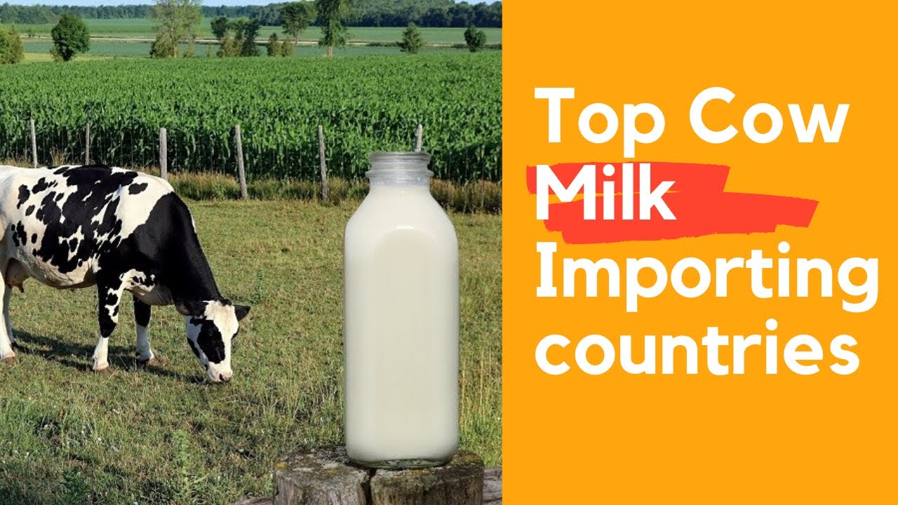 Top Cow Milk Importing Countries