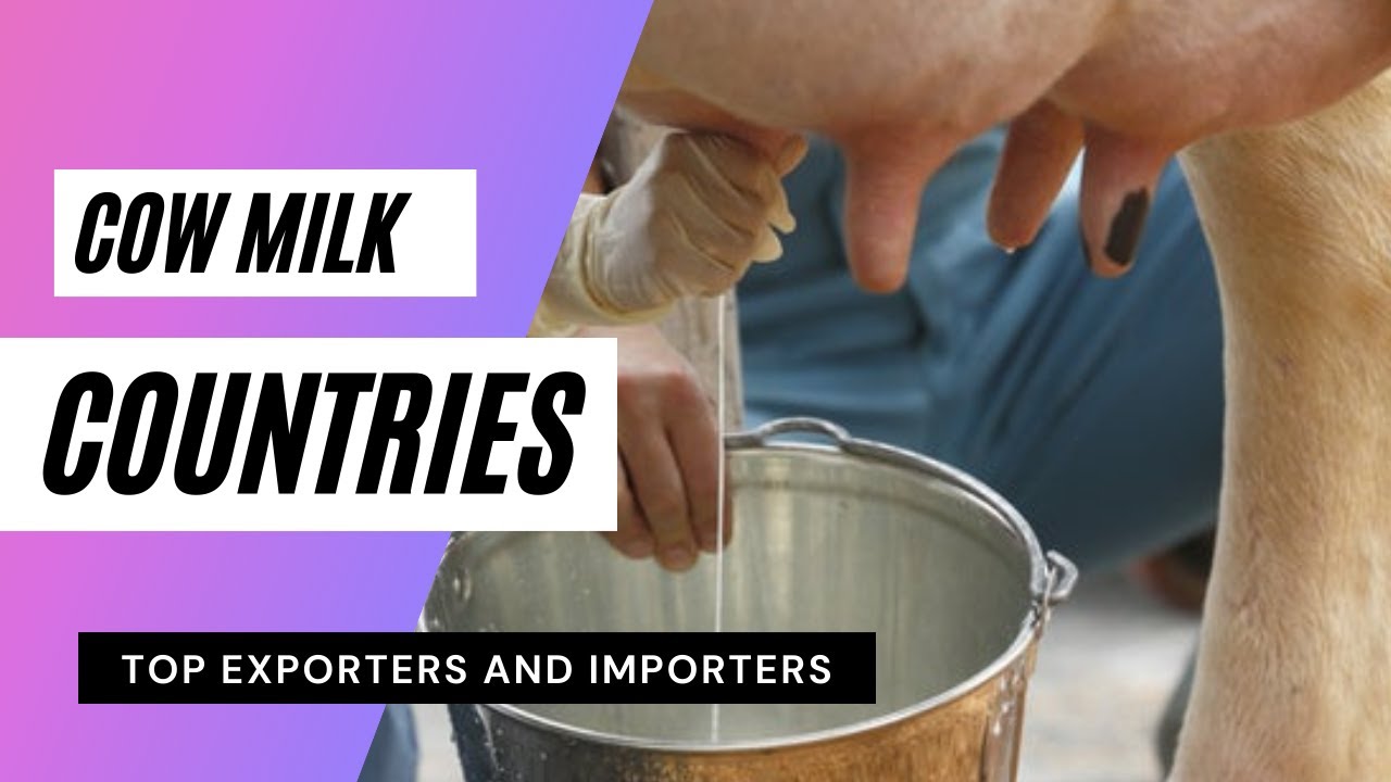 Top Cow Milk Importing And Exporting Countries