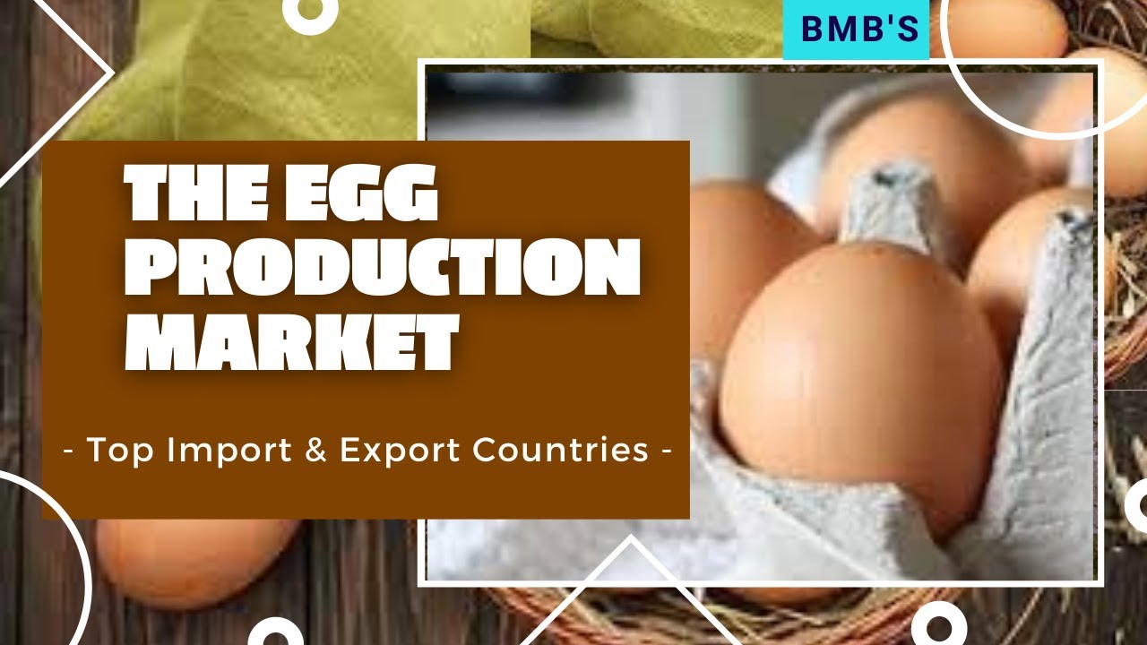 Top Egg Importing And Exporting Countries