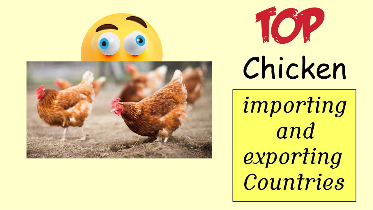 Top Chicken Exporting And Importing Countries
