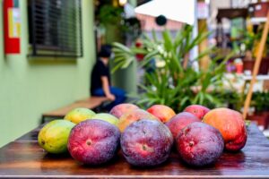 Profitable Export of Dried Mangoes from Burkina Faso to Europe